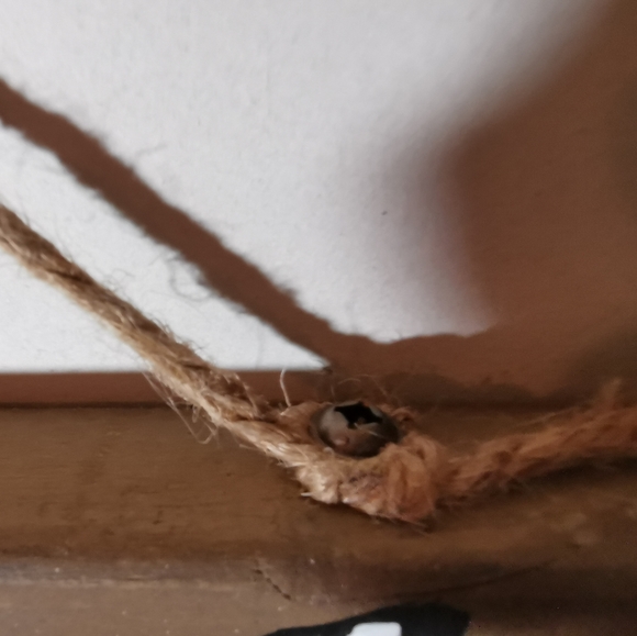 SOLD/Handcrafted B&W Home Wood Sign flower - Picture 8 of 11